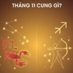 Tháng 11 Cung Gì? Giải Mã Bí Mật Tính Cách, Vận Mệnh Và Tình Yêu