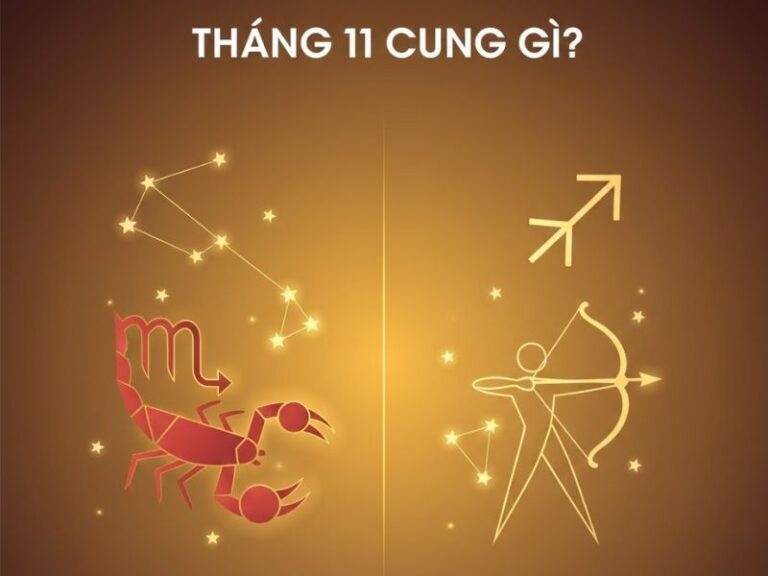Tháng 11 Cung Gì? Giải Mã Bí Mật Tính Cách, Vận Mệnh Và Tình Yêu
