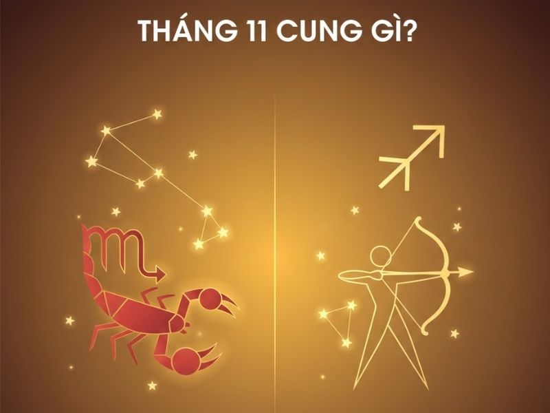 Tháng 11 Cung Gì? Giải Mã Bí Mật Tính Cách, Vận Mệnh Và Tình Yêu