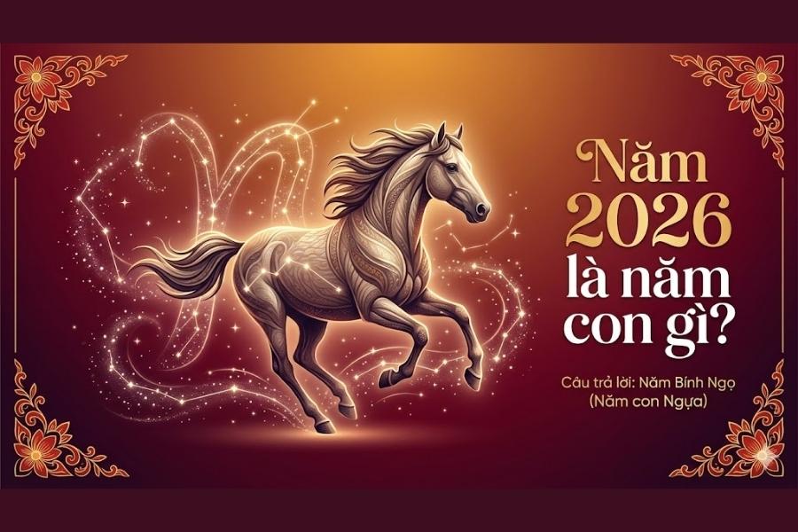 Năm 2026 là năm con gì? Khám phá vận mệnh người sinh năm Bính Ngọ