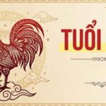 Tuổi Dậu Sinh Năm Nào? Trọn Bộ Tử Vi, Tính Cách Và Vận Mệnh Chi Tiết